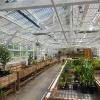 Visit to Callanwolde Ability Garden Greenhouse with Trellis Horticultural Therapy Alliance to discuss gardening and other plant-based activities.